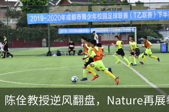 陈佺教授逆风翻盘，Nature再展拳脚！